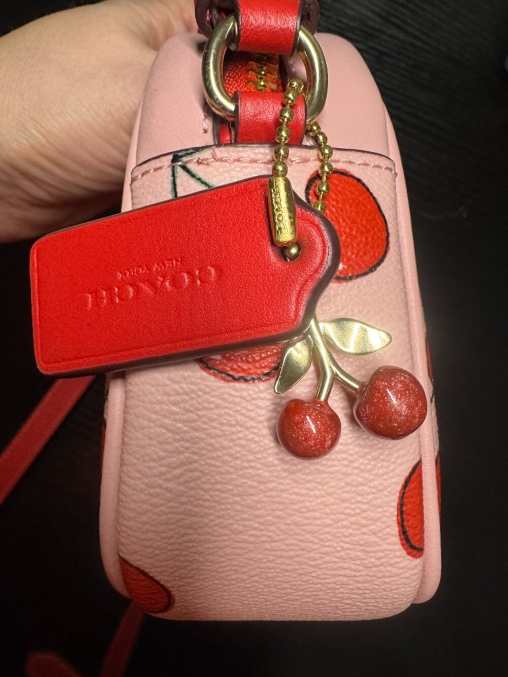 Rare Coach Cherry Print Crossbody Bag 🍒 - Picture 5 of 6